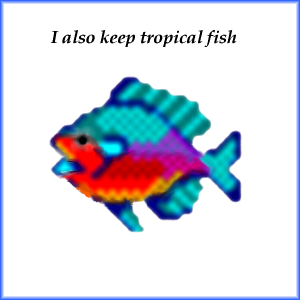 Tropical Fish Photo Album